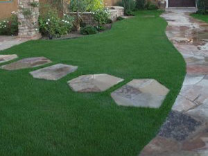 Preparing your Yard for New Lawn and Sod in Utah 2