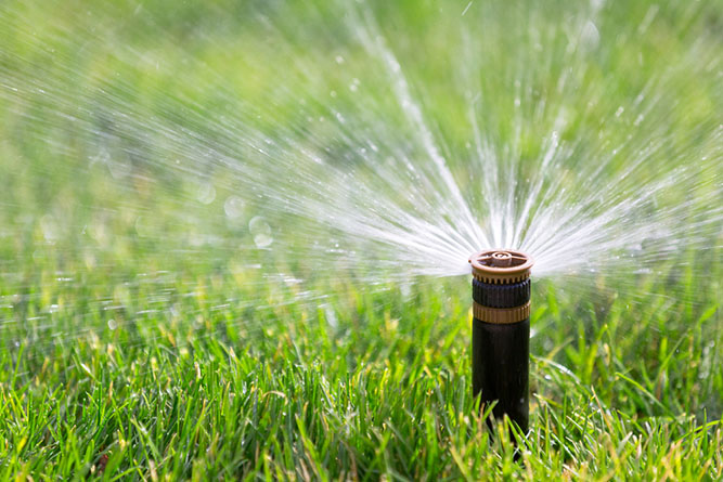 Watering and Lawn Care Guide 27